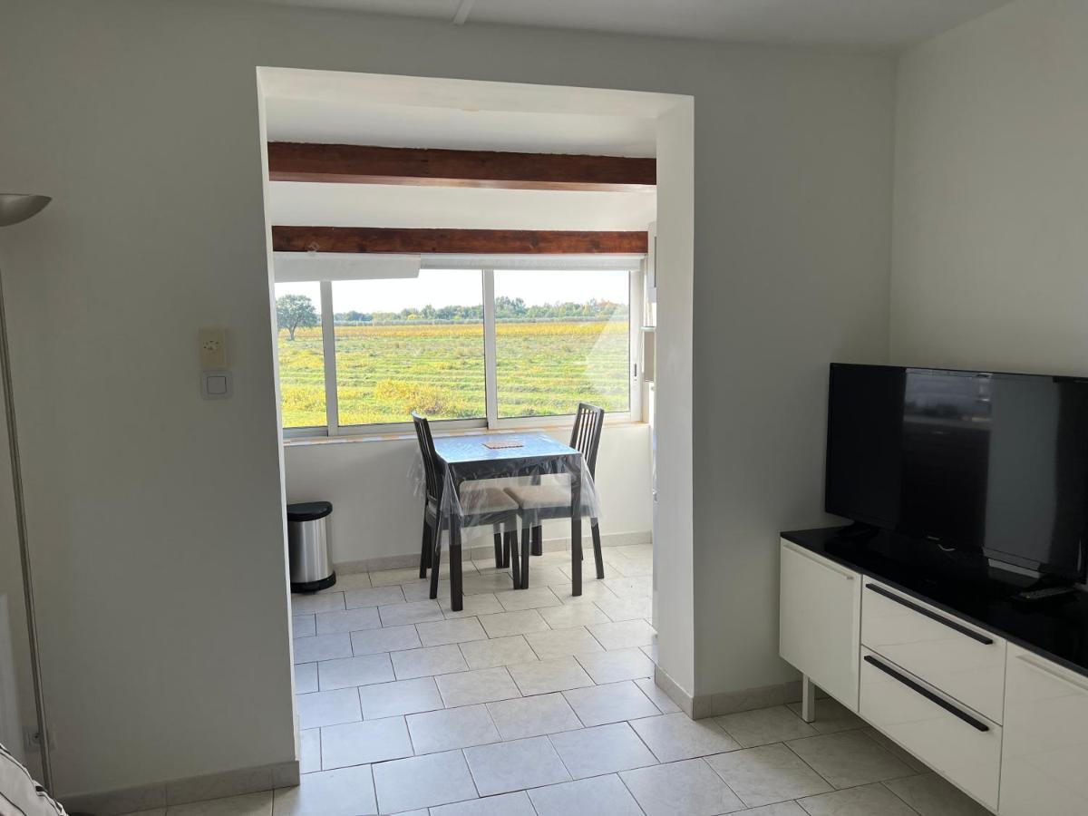 Joli Studio Tres Clair A Proximite Mer Pour 3 Personnes La Londe-les-Maures Zewnętrze zdjęcie