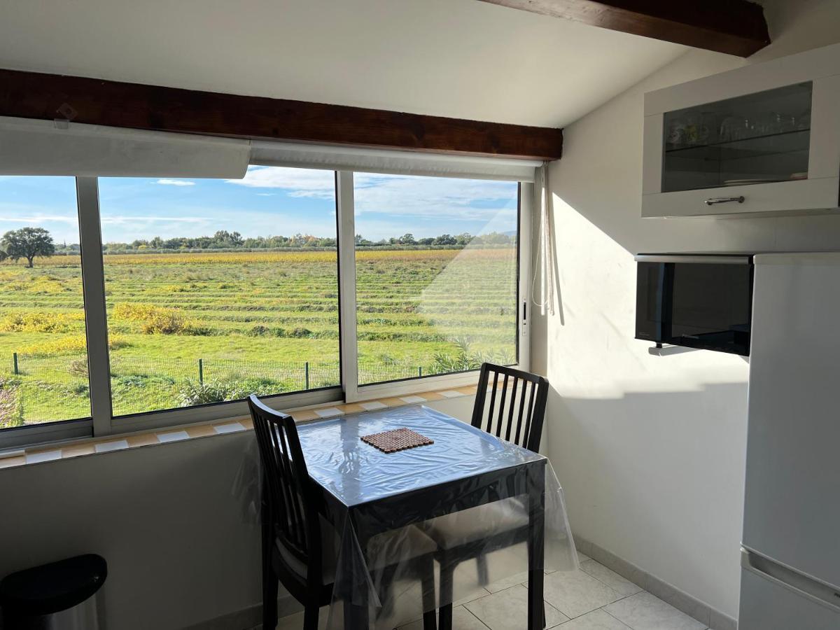 Joli Studio Tres Clair A Proximite Mer Pour 3 Personnes La Londe-les-Maures Zewnętrze zdjęcie