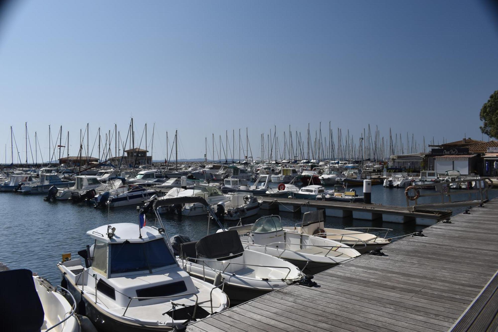 Joli Studio Tres Clair A Proximite Mer Pour 3 Personnes La Londe-les-Maures Zewnętrze zdjęcie