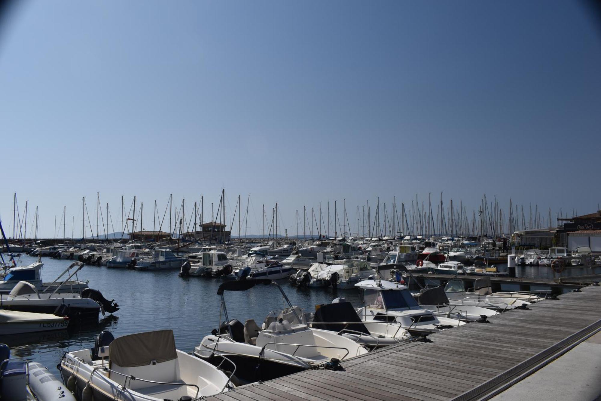 Joli Studio Tres Clair A Proximite Mer Pour 3 Personnes La Londe-les-Maures Zewnętrze zdjęcie