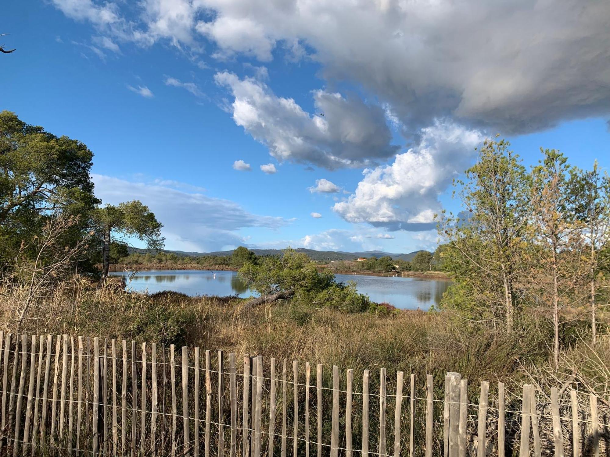Joli Studio Tres Clair A Proximite Mer Pour 3 Personnes La Londe-les-Maures Zewnętrze zdjęcie