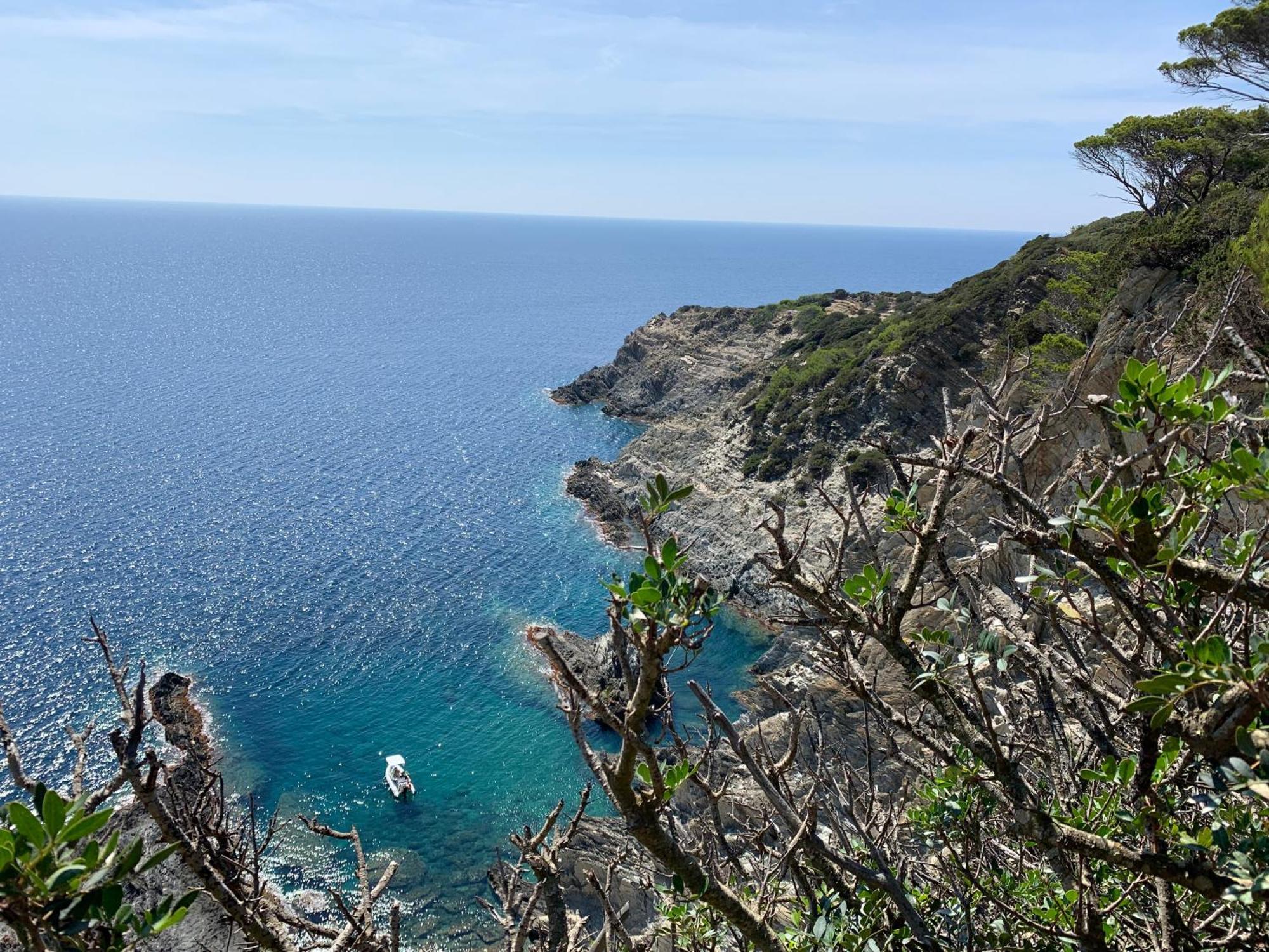 Joli Studio Tres Clair A Proximite Mer Pour 3 Personnes La Londe-les-Maures Zewnętrze zdjęcie