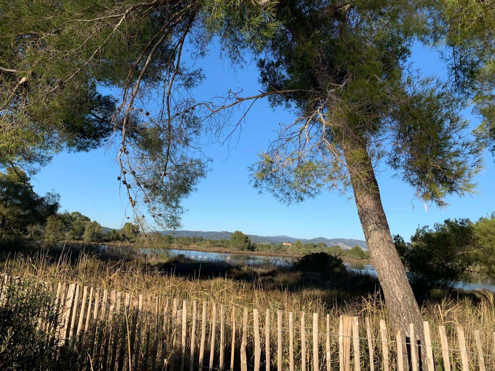 Joli Studio Tres Clair A Proximite Mer Pour 3 Personnes La Londe-les-Maures Zewnętrze zdjęcie