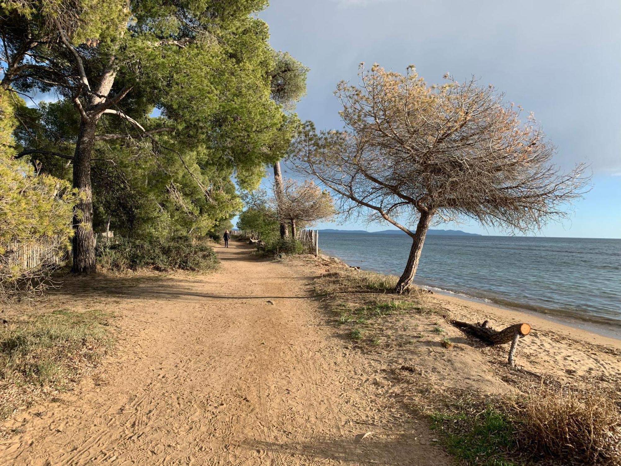 Joli Studio Tres Clair A Proximite Mer Pour 3 Personnes La Londe-les-Maures Zewnętrze zdjęcie